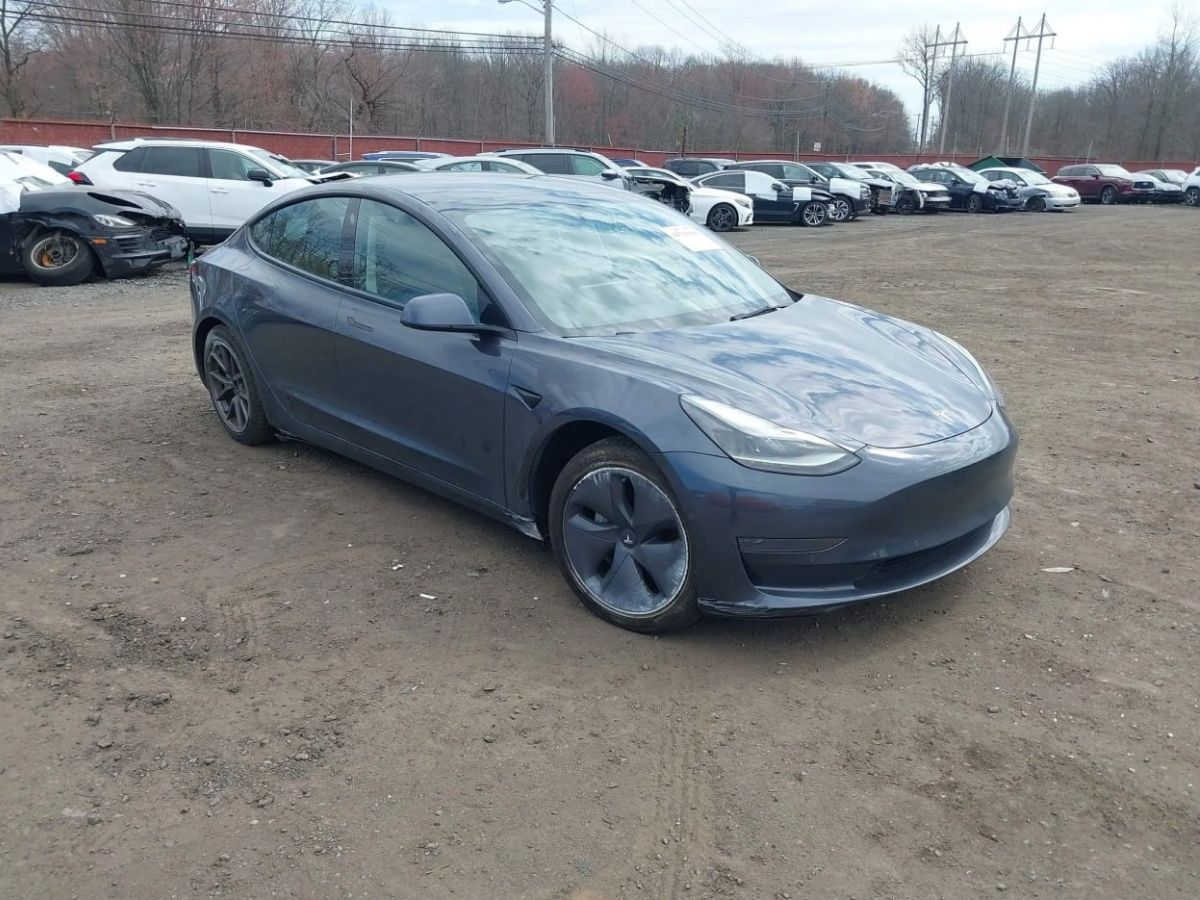 Tesla Model 3 Rear-Wheel Drive 2022 — авто зі США під ключ від Global Auto Logistic
